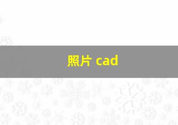 照片 cad